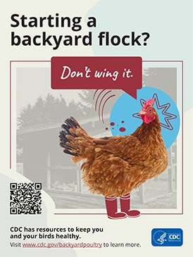 Starting a backyard block poster