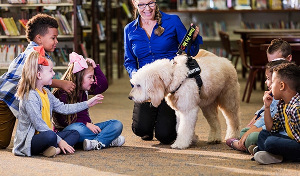Children in library with reading assistance dog