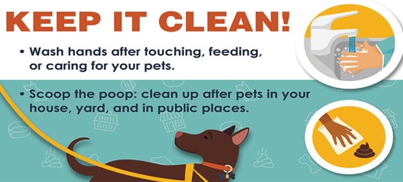 Healthy Pets habit graphic for keeping your hands clean
