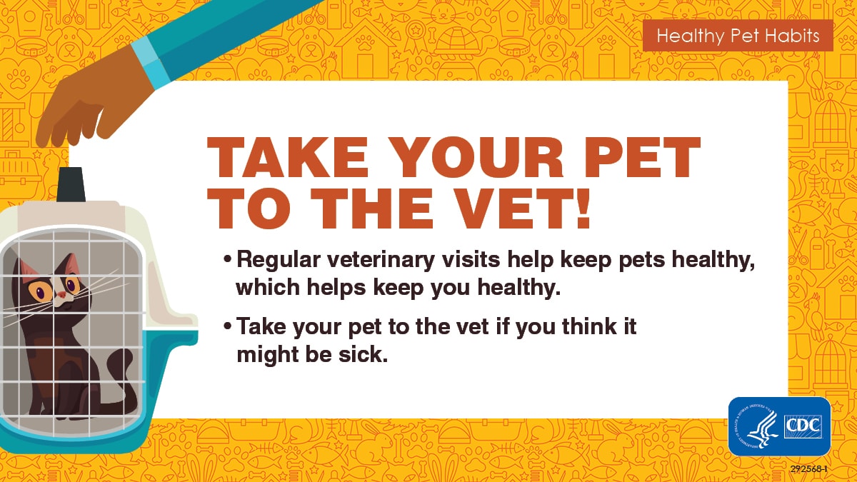Social Media Graphic: Take Your Pet to the Vet!