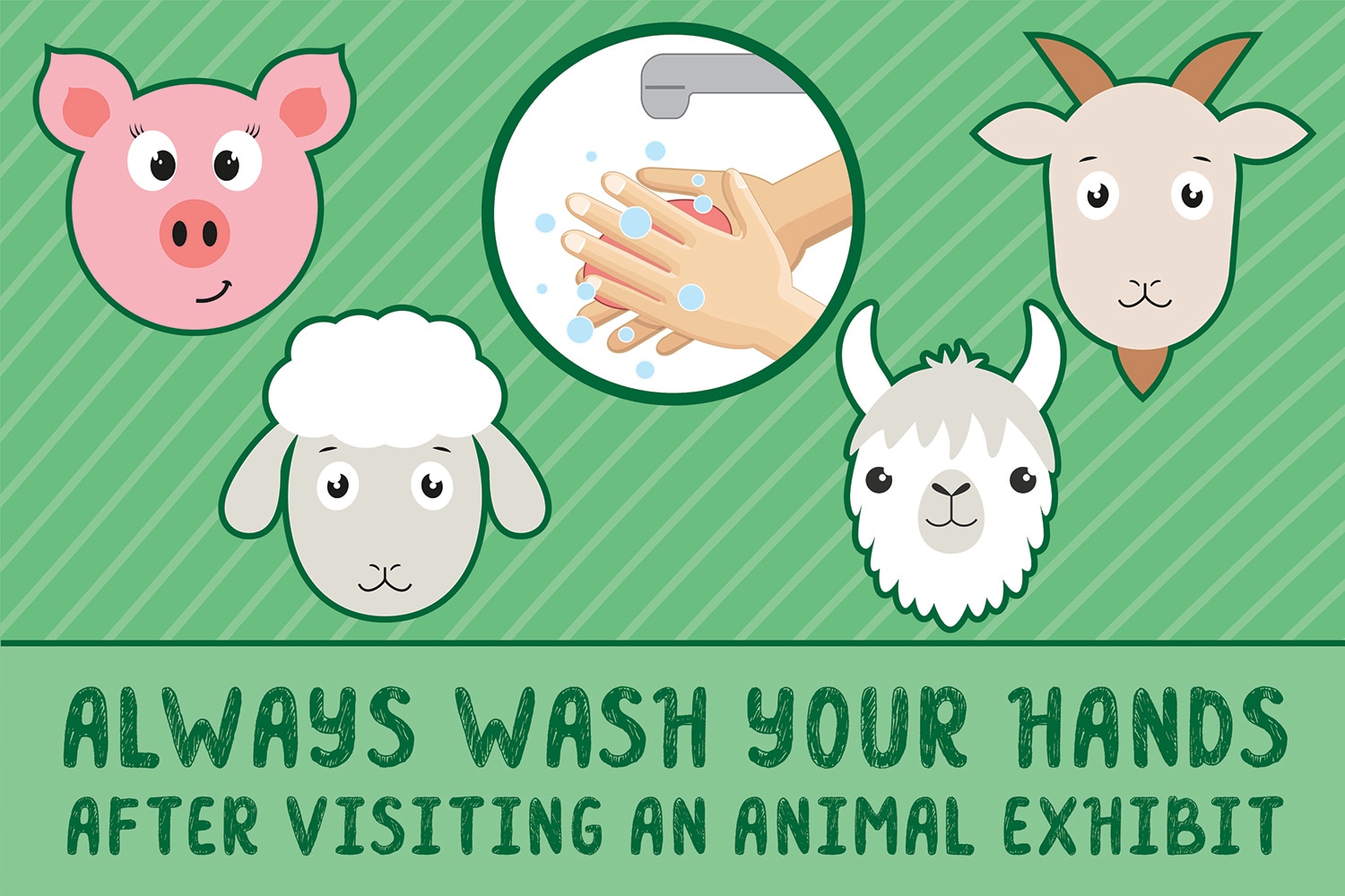 Always Wash Your Hands After Visiting an Animal Exhibit cover
