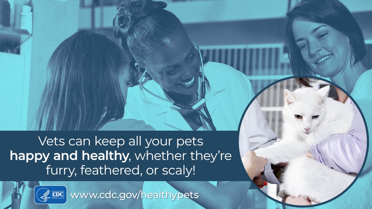 Vets can keep your pets happy and healthy banner for twitter and facebook
