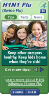 Sample widget: H1N1 Flu