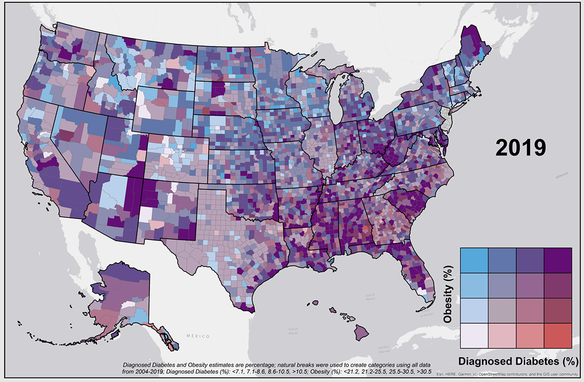 2019 Diabetes and Obesity Map