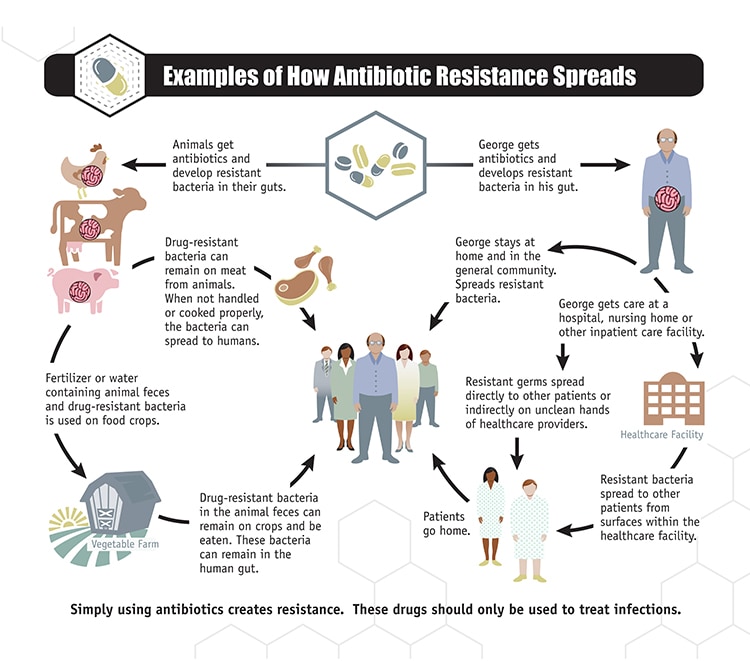 About Antimicrobial Resistance | Antibiotic/Antimicrobial Resistance | CDC