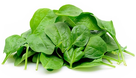 Spinach leaves over a white background