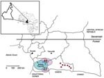 Thumbnail of Geographic distribution in Cameroon of the studied populations and the 13 persons infected by simian foamy virus (SFV), according to serologic and molecular results. Red, SFV-positive persons from the hunter study; green, SFV-positive persons from the retrospective study; blue circle, Pygmy area; violet circles, Bantu areas.