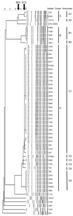 Thumbnail of Computer-assisted cluster analysis of pulsed-field gel electrophoresis fingerprints of 53 Acinetobacter baumannii and 2 Acinetobacter spp. pittii isolates. COL 20820 was used as the reference standard for normalization of the digitized gels (14).
