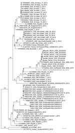 Thumbnail of Phylogenetic tree comparing complete genome nucleotide sequences of Middle East respiratory syndrome coronavirus (MERS-CoV) isolate from South Korea (KOR/KNIH/002_05_2015) with those of 67 reference MERS-CoVs (GenBank database). The tree was constructed by using the general time reversible plus gamma model of RAxML version 8.8.0 software (10) and visualized by using FigTree version 1.4.2 (http://tree.bio.ed.ac.uk/software/figtree). RAxML bootstrap values (1,000 replicates) are shown