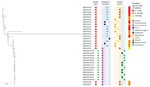 Whole-genome sequencing dendrogram of VIM-CRPA clinical (N = 20) and environmental (N = 13) isolates from hospital A, Texas, USA. Location of culture collection, isolate source, and patient hospital day when clinical culture was obtained are shown. All isolates were sequence type 308 and harbored a VIM-2 allele. No hospital day is provided for isolate 2018-33-17 because it was collected during an emergency department encounter; patient had had an overnight hospitalization in hospital A 2 weeks earlier. ICU, intensive care unit.