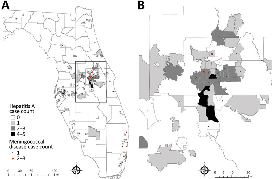 Spatial distribution of outbreak-associated cases of hepatitis A and invasive meningococcal disease in an investigation of concurrent outbreaks of hepatitis A, invasive meningococcal disease, and mpox, Florida, USA, 2021–2022. A) Locations of cases by postal (ZIP) code of patient residence; B) detail of box from central Florida in panel A, in which >1 case of each disease were reported in the same postal code. Outside the area represented in that panel, no cases of both diseases were identified in the same postal code. Invasive meningococcal disease cases were georeferenced by postal code centroid. Small polygons are outlines of postal code areas. Light gray lines indicat county borders; dark gray lines indicate postal areas where instances were identified.