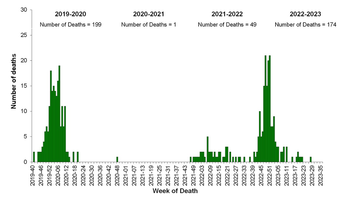 Figure 12. Number of Influenza-Associated Pediatric Deaths by Week of Death, 2019-20 to 2022-23 Seasons