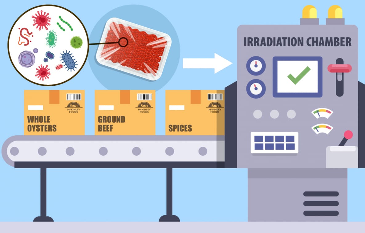 whole oysters, ground beef, and spices ride on a conveyor belt through an irradiation chamber