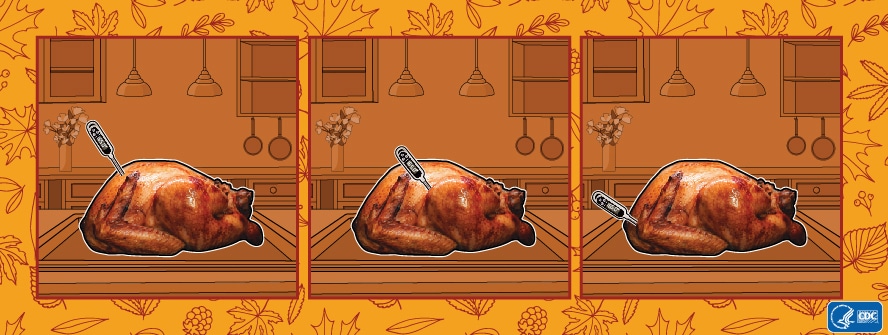 Ilustración que muestra tres lugares para colocar un termómetro para alimentos en un pavo cocido