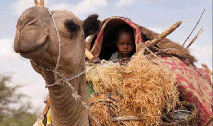 A young Bugagi child travels atop a camel.