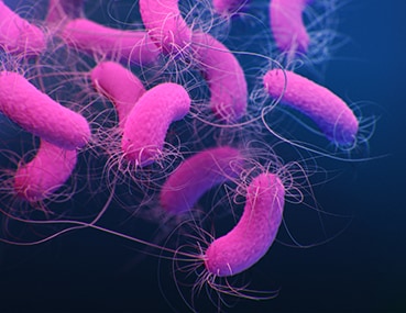 Pseudomonas aeruginosa can cause infections in patients in hospitals.