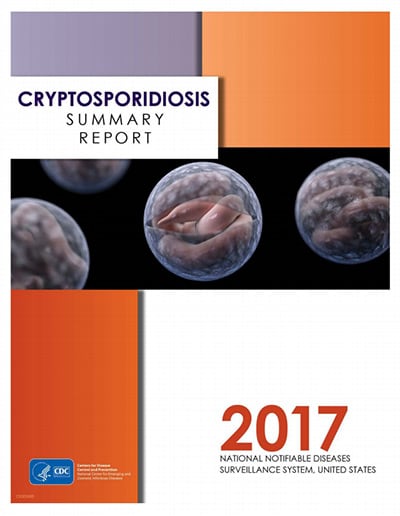 crypto summary report 2017