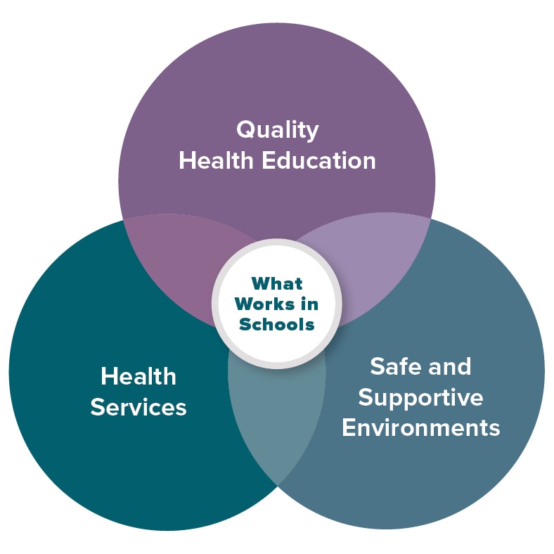 what works: health education, sexual health services, and safe and supportive environments