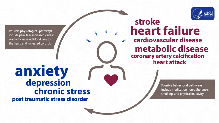 Heart disease and mental health. Possible physiological pathways include pain, fear, increased cardiac reactivity, reduced blood flow to the heart, and increased cortisol. Possible behavioral pathways include medication non-adherence, smoking, and physical inactivity.