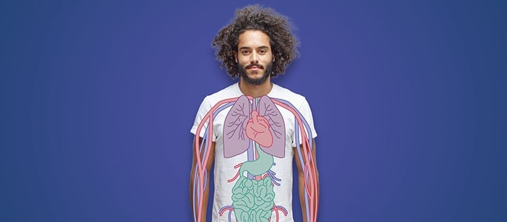 Internal organs illustrated on photo of a standing male