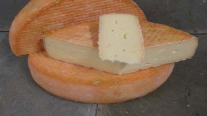 Ouleout Cheese