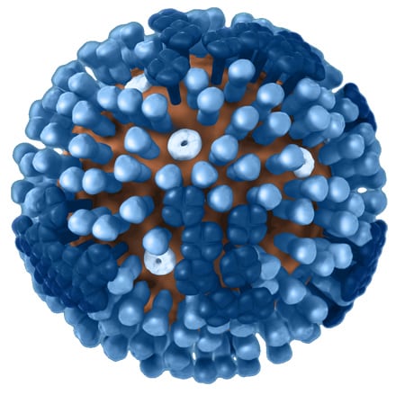 Picture of virus - Why CDC Recommends Influenza Antiviral Drugs