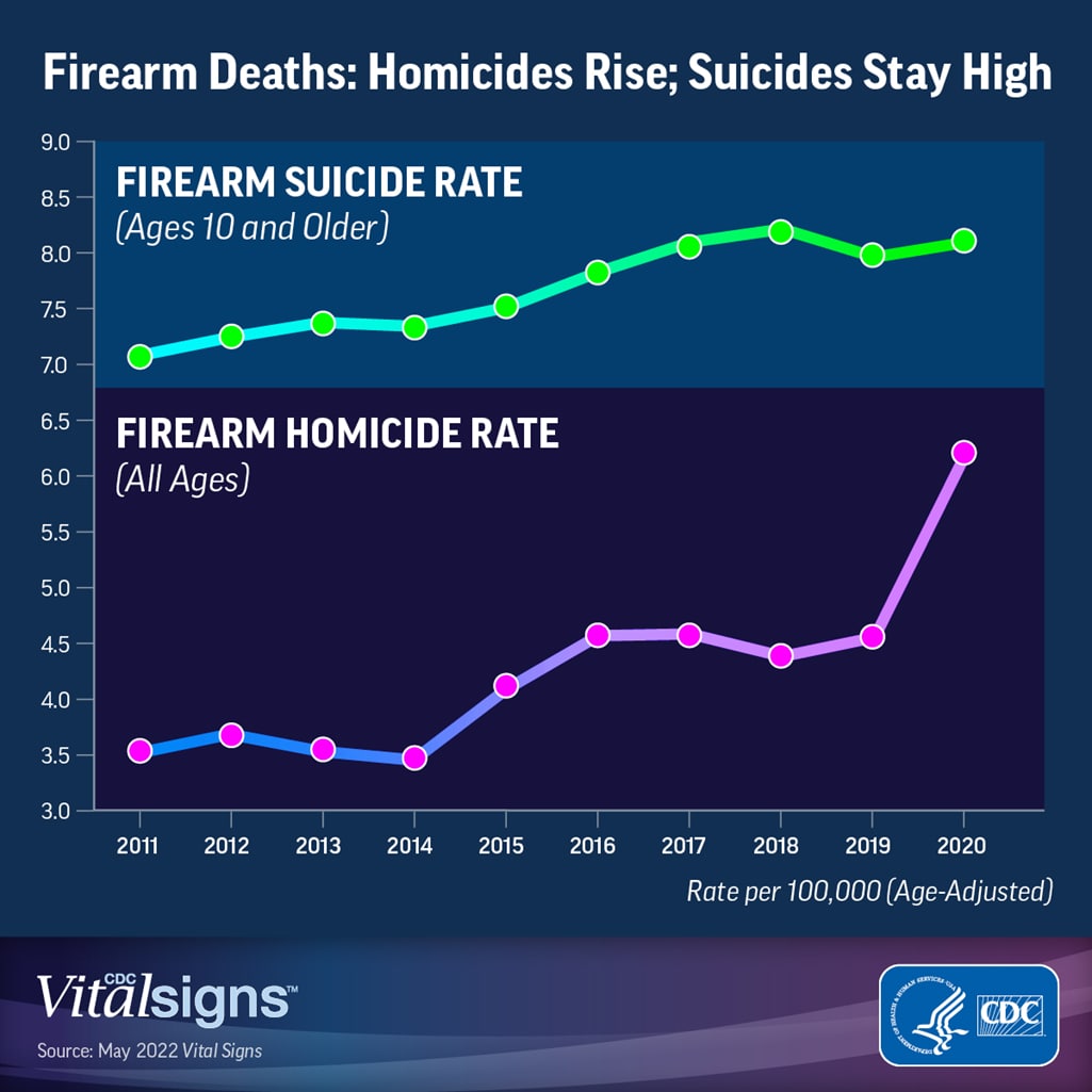 Firearm Homicides Rose Sharply, and Firearm Suicides Remained High