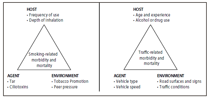 The figure is a graphic that presents parallels in the epidemiologic triad between smoking harm and traffic injury.