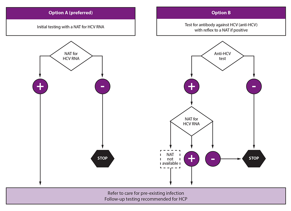 Figure is a flow diagram for testing of source patients after potential exposure of health care personnel to hepatitis C virus. The flow diagram reflects 2020 CDC guidance for the United States. Two options for testing of the source patient are presented. Option A, which is preferred, is to test with a nucleic acid test for hepatitis C virus RNA. Option B is to test for anti-hepatitis C virus with reflex to a nucleic acid test if positive. A source patient found to be positive for hepatitis C virus RNA should be referred to care.