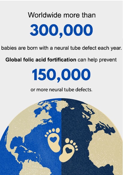 Worldwide there are more than 300,000 babies who are  born with a neural tube defect each year