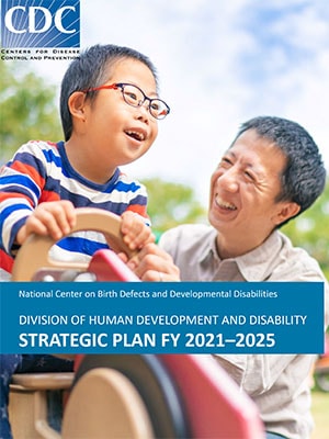 DHDD Strategic Plan Cover