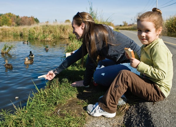 Mother and daughter feeding ducks on a roadside pond
