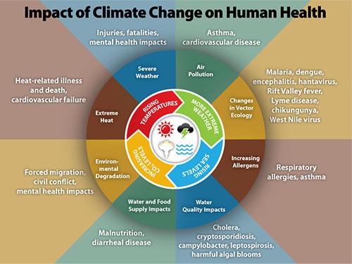 Climate change influences human health including increased respiratory and cardiovascular disease, injuries, fatalities, food- and water-borne illnesses and other infectious diseases, and threats to mental health.