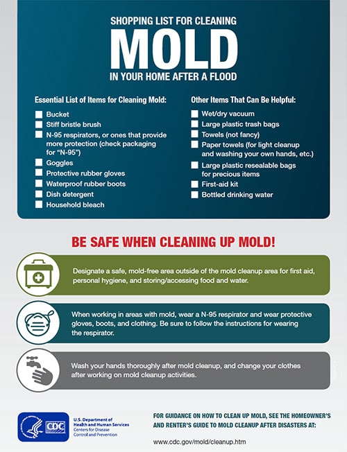 Shopping List for Cleaning Mold