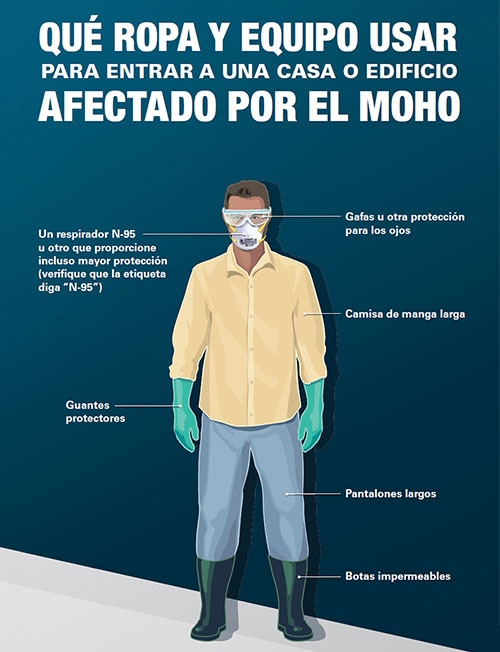 What to Wear Before Entering a Home or Building with Mold Damage Spanish
