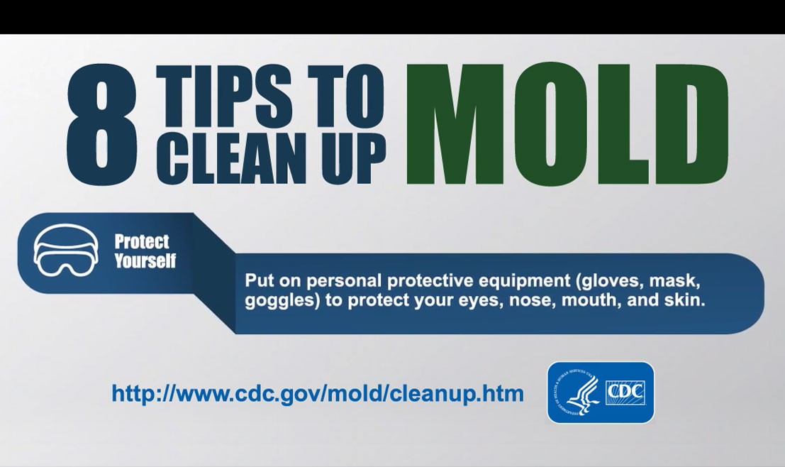 8 Tips to Cleanup Mold. Lear more at www.cdc.gov/mold/cleanup.htm.