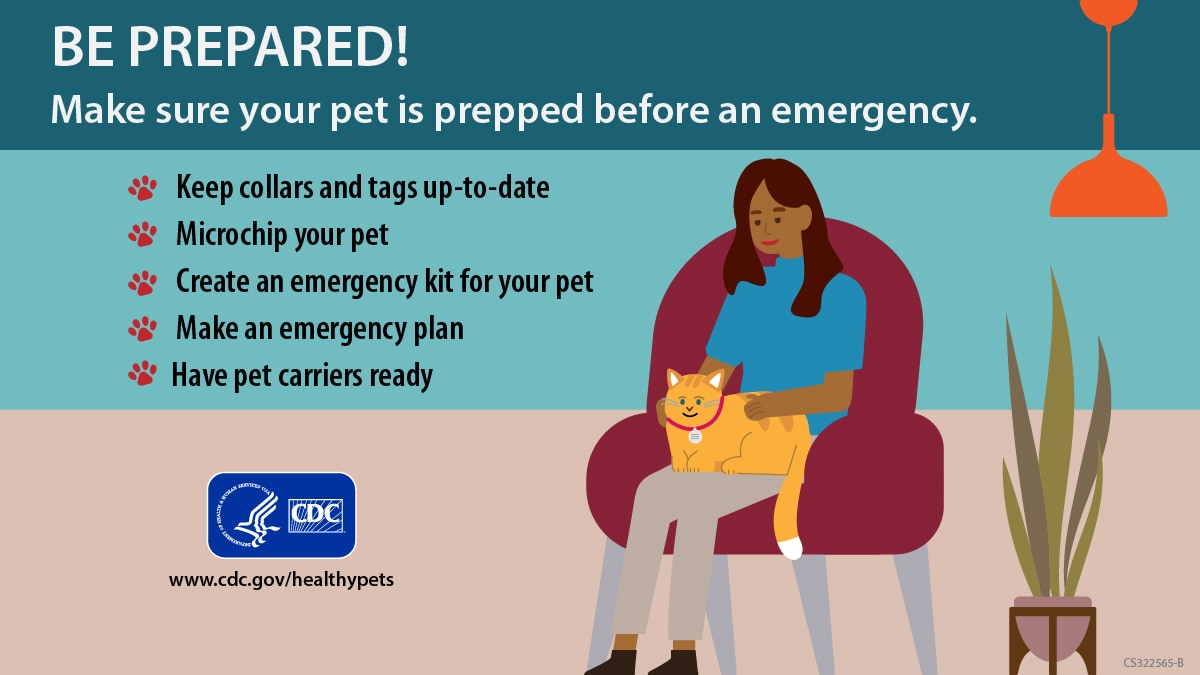 Be Prepared infographic with several bullet points about being prepared with your pet in an emergency.