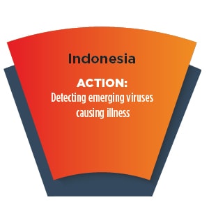 Section of a wheel with words - Indonesia ACTION: Detecting emerging viruses causing illness