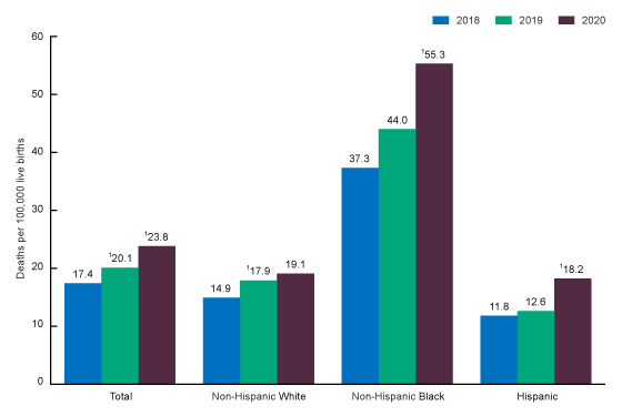 Figure 1 is a bar chart showing maternal mortality rates for the total, non-Hispanic White, non-Hispanic Black, and Hispanic populations for 2018 through 2020.