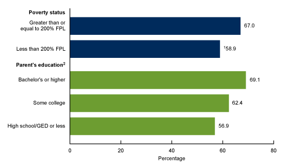 Figure 3 is a bar chart showing the percentage of children aged 3-5 years who ever had their vision tested by a doctor or other health professional by poverty status and parental educational attainment.