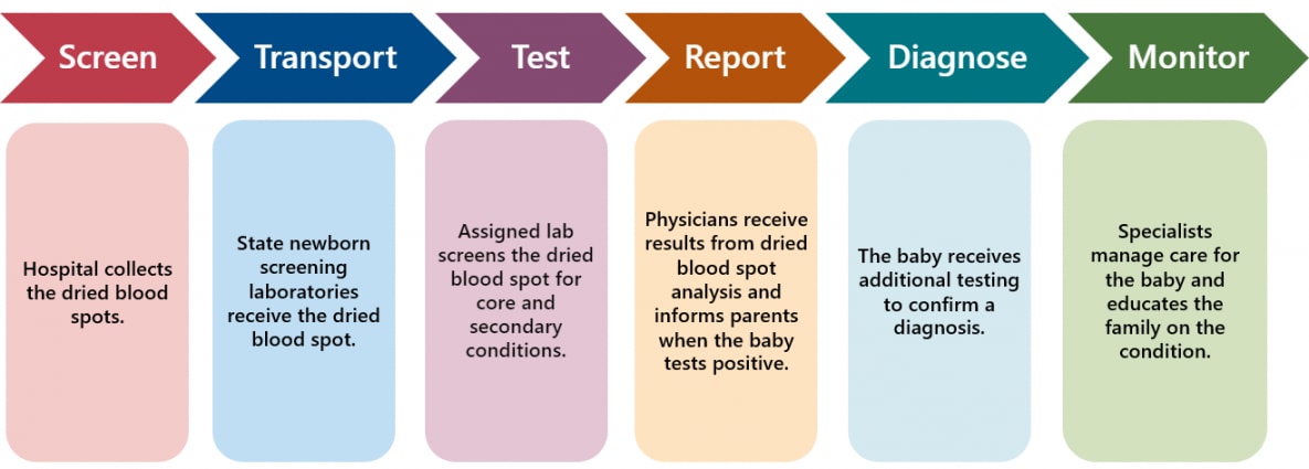 Flowchart explaining strategic objective process: screening using dried bloodspots, transporting bloodspots to state laboratories, testing bloodspots for core and secondary conditions, reporting results to physicians and parents, diagnosing through further testing and monitoring ongoing care.