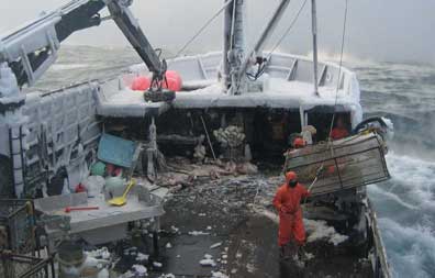 Bering  Crab Fishing Jobs on Typical Day Crab Fishing On The Bering Sea In Alaska  Photo Courtesy