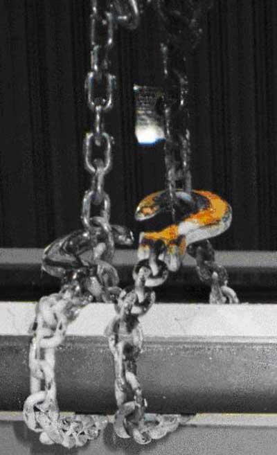 A Chain