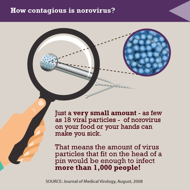 Norovirus Home CDC
