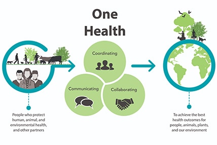 A multimedia One Health graphic