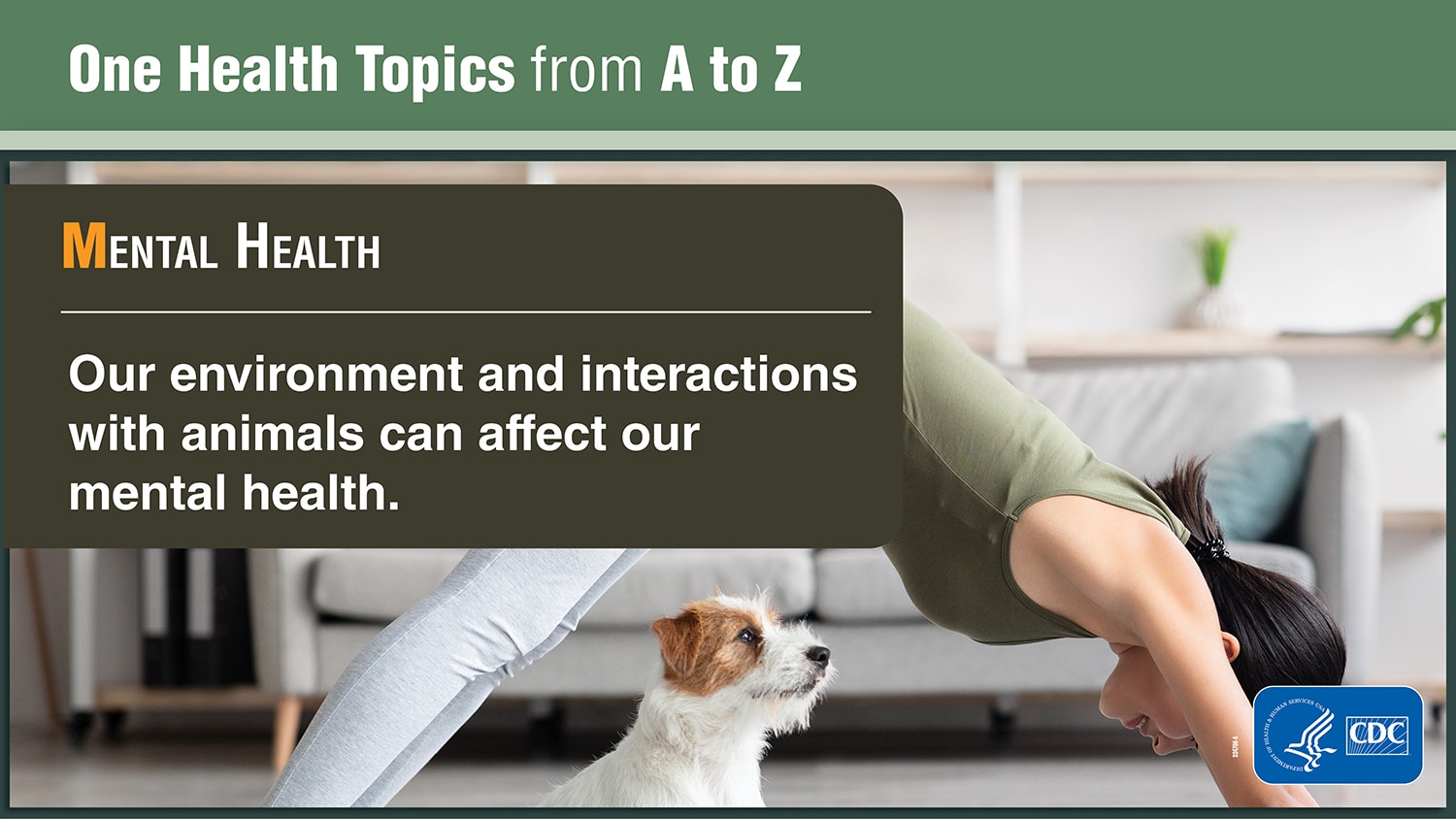 One Health topics from A Z banner
