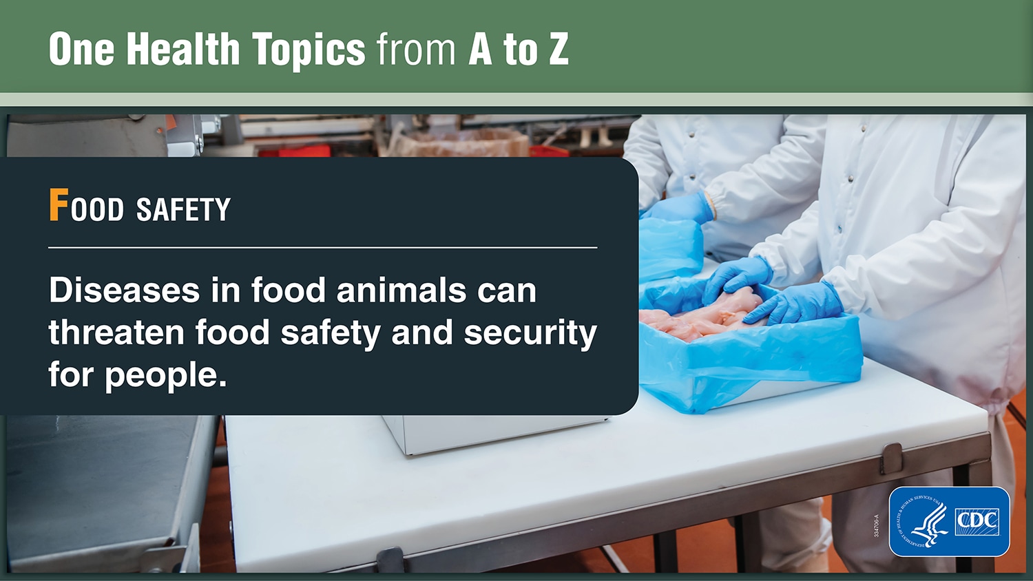 One Health Topics from A to Z explaining Food Safety