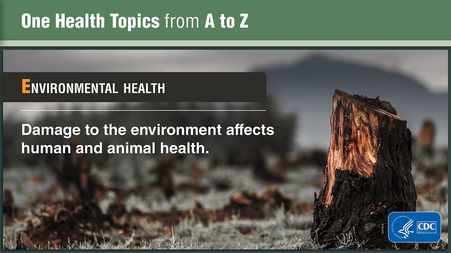 One Health Topics from A to Z explaining Environmental Health