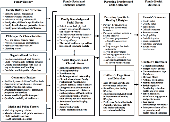 14_0371_01.gif The Family Ecological Model.