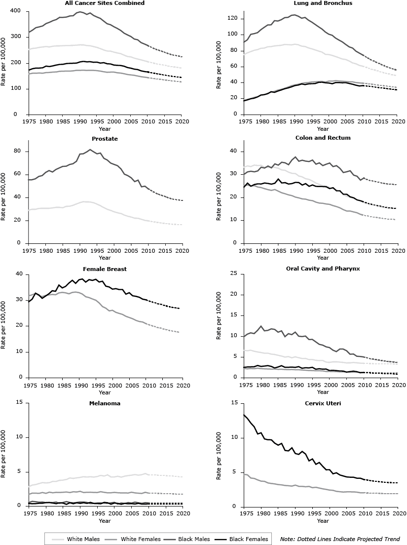 14_0482_01.gif Trends in deaths from all cancers combined attributed to population risk (including diagnostic and treatment practices), growth, and aging (1975–2009), by sex and race (white, black).